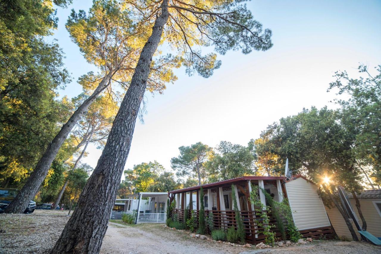 Mobile Home Cube, 3 Bedrooms, Free Parking, Wifi 비오그라드나모루 외부 사진